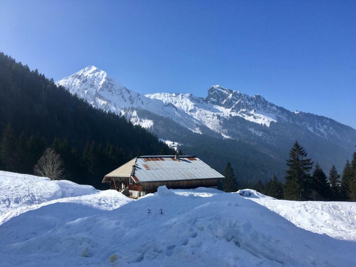 Chalet Marmotte 2 مورزين المظهر الخارجي الصورة