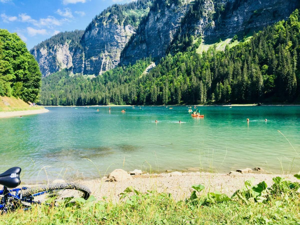 Chalet Marmotte 2 مورزين المظهر الخارجي الصورة