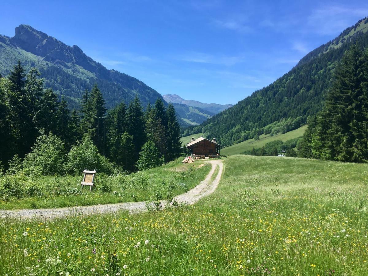 Chalet Marmotte 2 مورزين المظهر الخارجي الصورة